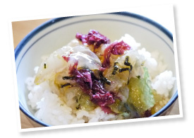 宇和島の郷土料理「宇和島鯛めし」。刺身と海藻と生卵を混ぜてご飯へぶっかける漁師料理。シンプルな調理法だからこそ、鯛一郎クンのうま味とモチモチ感が際立つ。