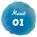 Merit 01