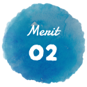 Merit 02