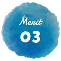 Merit 03