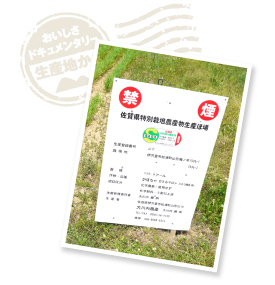 佐賀県の特別栽培農産物に認定されていることを伝える立て看板。「佐賀県の名に傷をつけることはできないので、規定は絶対に守ります」と大川内さん。